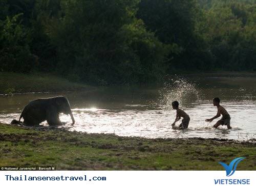 Hành trình thuần phục những con vật khổng lồ của bộ tộc Suay - Ảnh 6