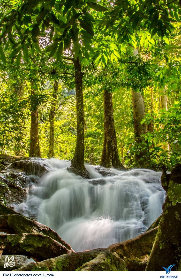 Vẻ đẹp hùng vĩ của những thác nước nằm sâu trong các khu rừng già ở Phang Nga.