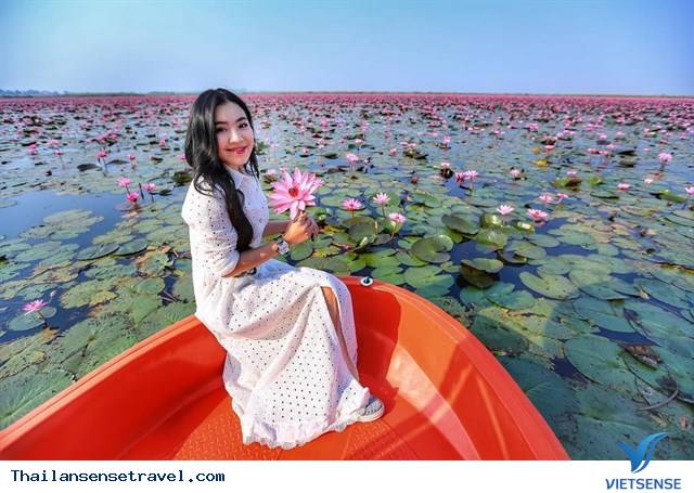 Chiêm ngưỡng  hồ hoa súng Udon Thani ở Thái Lan. - Ảnh 7