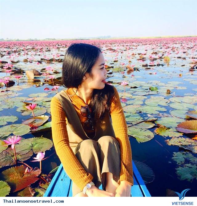 Thăm thú hồ hoa súng đẹp tuyệt vời ở vùng Udon Thani, Thái Lan - Ảnh 4 Thăm thú hồ hoa súng đẹp tuyệt vời ở vùng Udon Thani, Thái Lan - Ảnh 4