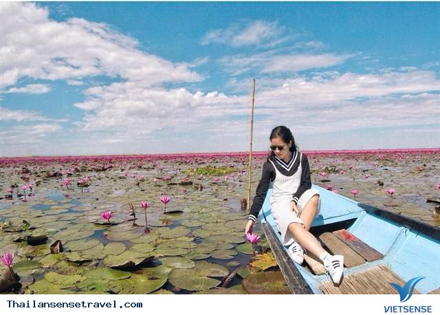 Chiêm ngưỡng  hồ hoa súng Udon Thani ở Thái Lan. - Ảnh 10