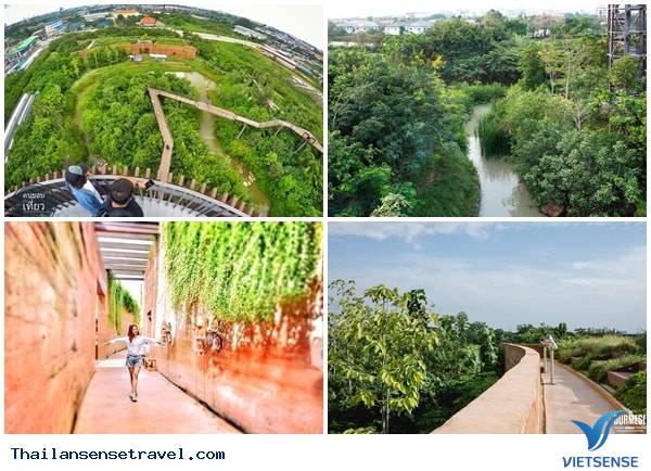 Chiêm ngưỡng khu rừng thần tiên được xây dựng từ bãi rác của Thái Lan. - Ảnh 1 Chiêm ngưỡng khu rừng thần tiên được xây dựng từ bãi rác của Thái Lan. - Ảnh 1
