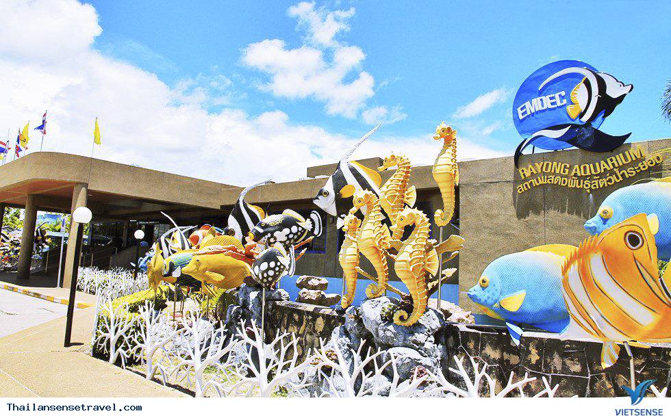 Thủy cung Rayong