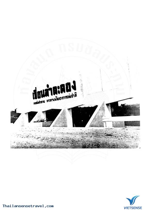 Choáng váng với con đường sắt ngập nước 44 năm nay nổi lên tại Thái Lan - Ảnh 6 Choáng váng với con đường sắt ngập nước 44 năm nay nổi lên tại Thái Lan - Ảnh 6