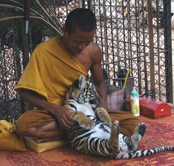 Chùa Cọp hay Wat Pha Luang Ta Bua là một ngôi chùa Phật giáo Nguyên thủy ở phía Tây Thái Lan - Ảnh 1 Chùa Cọp hay Wat Pha Luang Ta Bua là một ngôi chùa Phật giáo Nguyên thủy ở phía Tây Thái Lan - Ảnh 1