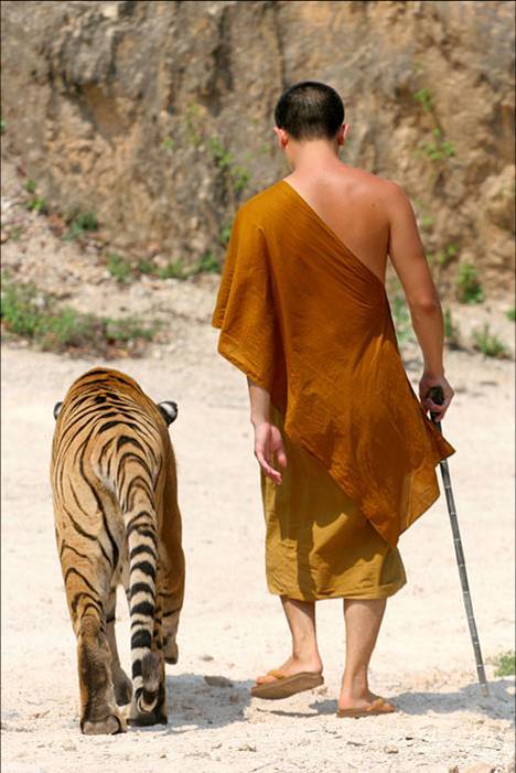 Chùa Cọp hay Wat Pha Luang Ta Bua là một ngôi chùa Phật giáo Nguyên thủy ở phía Tây Thái Lan - Ảnh 20 Chùa Cọp hay Wat Pha Luang Ta Bua là một ngôi chùa Phật giáo Nguyên thủy ở phía Tây Thái Lan - Ảnh 20