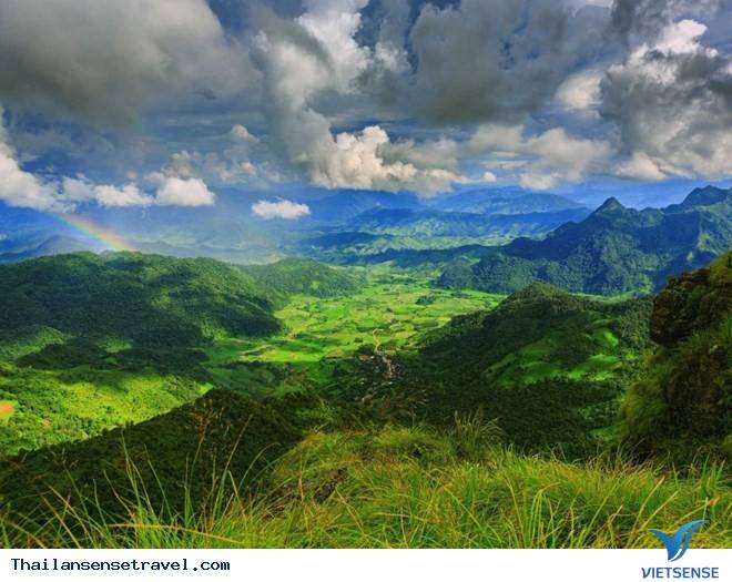 Vùng núi Phu Chi Fa ở Chiang Rai