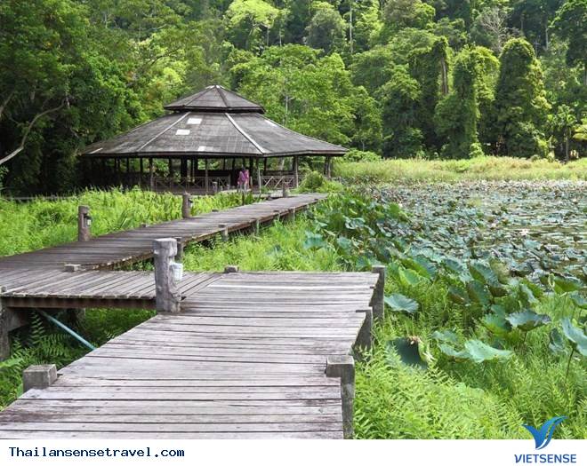 Cung điện hoàng gia