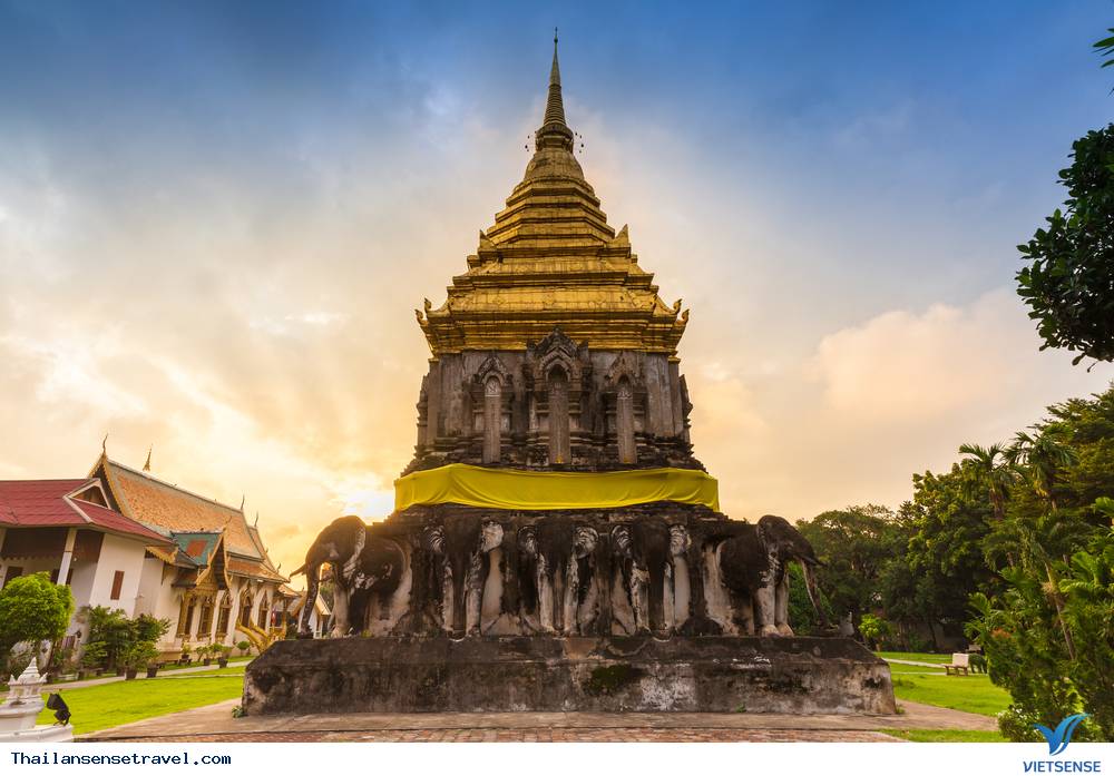 Trại Voi Mae Taeng Trại Voi Mae Taeng