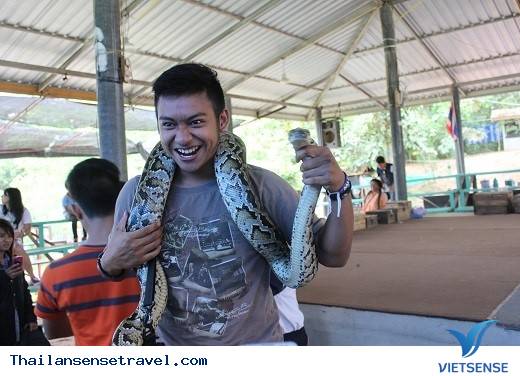 Đến Isaan Đổi Gió Với Hình Thức hành trình Văn Hóa Tại Thái Lan14 Đến Isaan Đổi Gió Với Hình Thức chương trình
Văn Hóa Tại Thái Lan