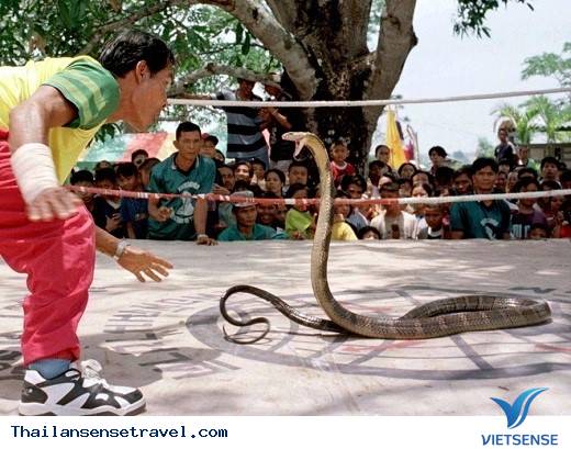 Đến Isaan Đổi Gió Với Hình Thức chương trình
Văn Hóa Tại Thái Lan12 Đến Isaan Đổi Gió Với Hình Thức trải nghiệm Văn Hóa Tại Thái Lan