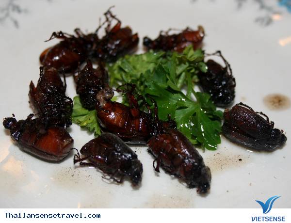 Đến Thái Lan ăn côn trùng - Ảnh 13
