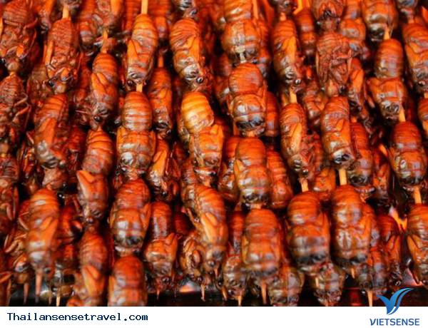 Đến Thái Lan ăn côn trùng - Ảnh 19