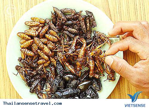 Đến Thái Lan ăn côn trùng - Ảnh 4