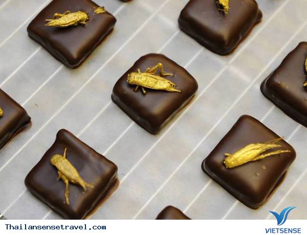 Đến Thái Lan ăn côn trùng - Ảnh 15