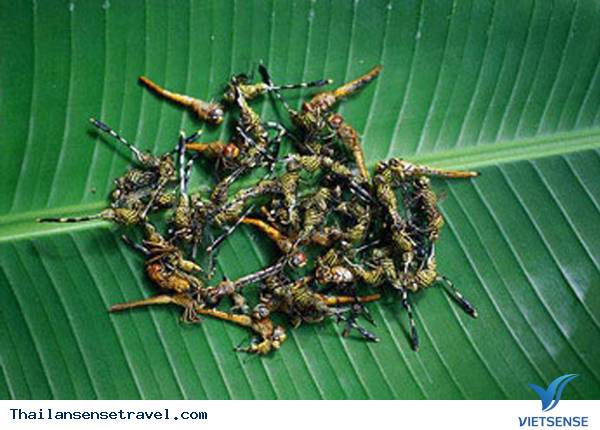 Đến Thái Lan ăn côn trùng - Ảnh 21