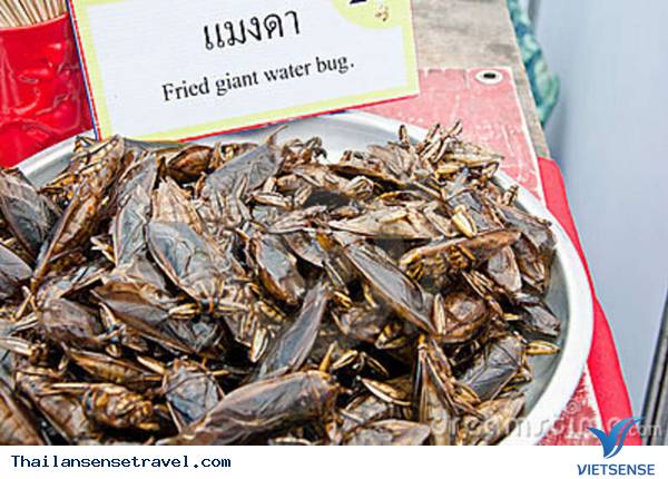 Đến Thái Lan ăn côn trùng - Ảnh 22