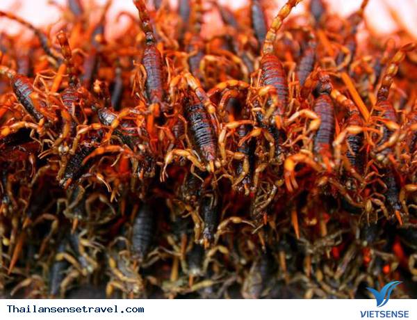 Đến Thái Lan ăn côn trùng - Ảnh 6