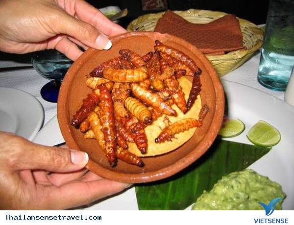 Đến Thái Lan ăn côn trùng - Ảnh 5