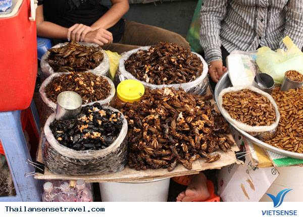 Đến Thái Lan ăn côn trùng - Ảnh 24