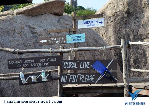 Đến thăm hòn đảo đặc biệt của vịnh Thái Lan - Ảnh 1