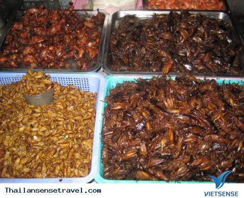Đường Khao San - Ảnh 2 Đường Khao San - Ảnh 2