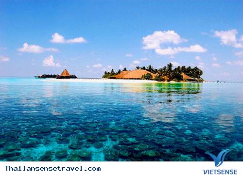 Hình Ảnh Đoàn Tháng 8 - Ảnh 4