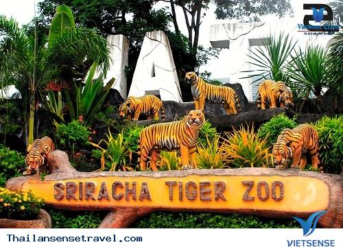 Hình Ảnh Đoàn Tháng 8 - Ảnh 3