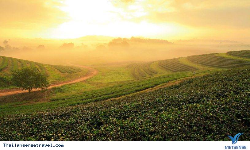 Singha Park - nông trường miền quê tươi sáng - Ảnh 2 Singha Park - nông trường miền quê tươi sáng - Ảnh 2