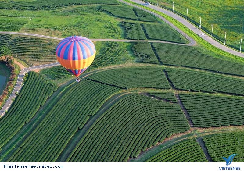 Singha Park - nông trường miền quê tươi sáng - Ảnh 1 Singha Park - nông trường miền quê tươi sáng - Ảnh 1