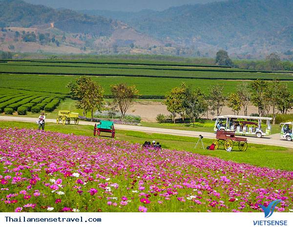 Singha Park - trang trại lớn nhất Thái Lan