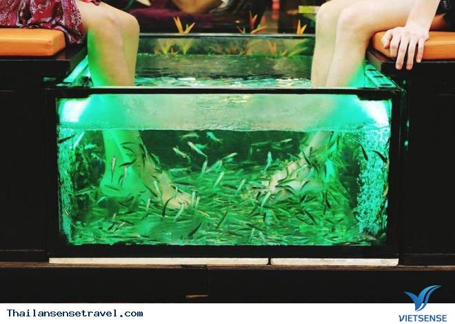 Hình ảnh bình dị của người dân Thái Lan - Ảnh 12