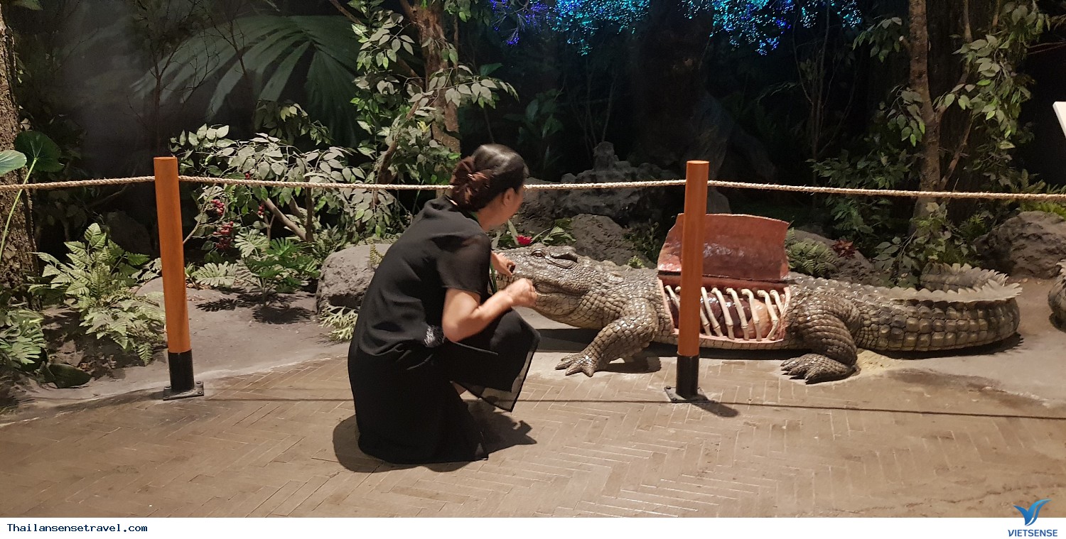 Hình Ảnh Đoàn Thái Lan 15 - 19/09/2018 - Ảnh 4 Hình Ảnh Đoàn Thái Lan 15 - 19/09/2018 - Ảnh 4