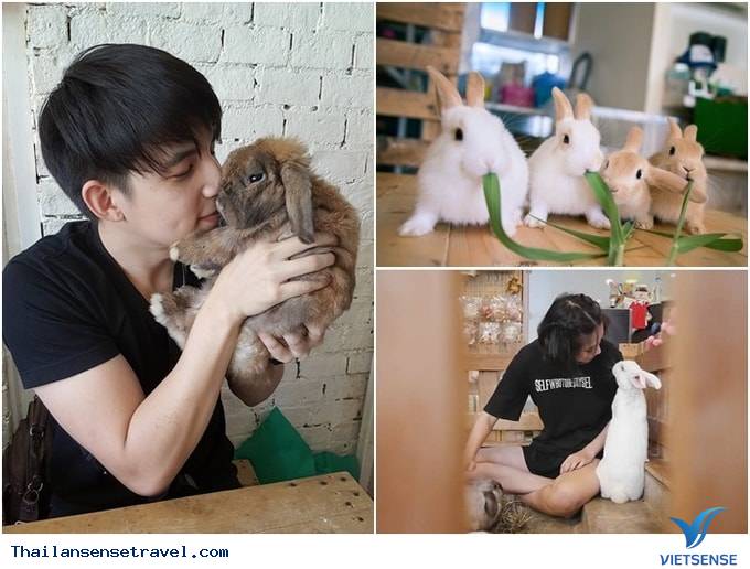 TrueLove at Neverland TrueLove at Neverland