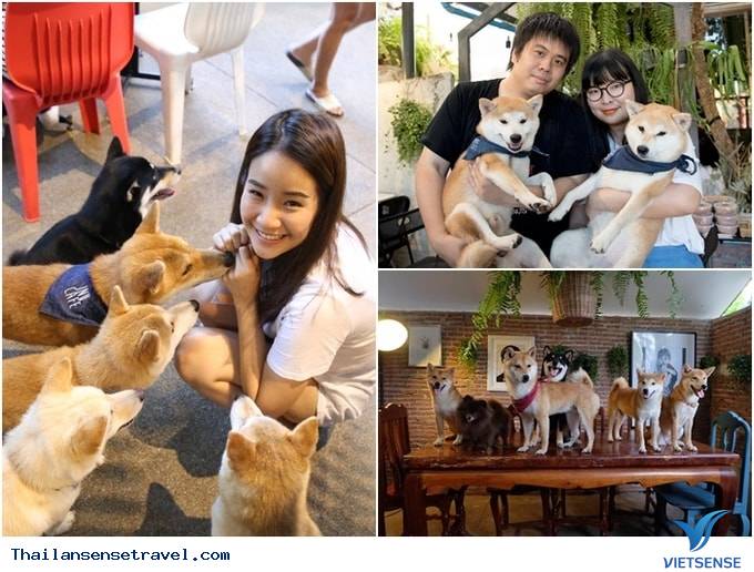 Coffee & Puppy Coffee & Puppy