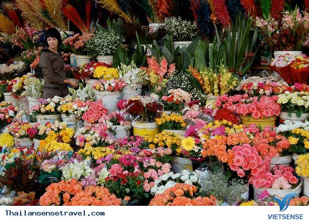 Khám phá khu chợ hoa Pak Klong Talad lớn nhất Bangkok - Ảnh 2 Khám phá khu chợ hoa Pak Klong Talad lớn nhất Bangkok - Ảnh 2
