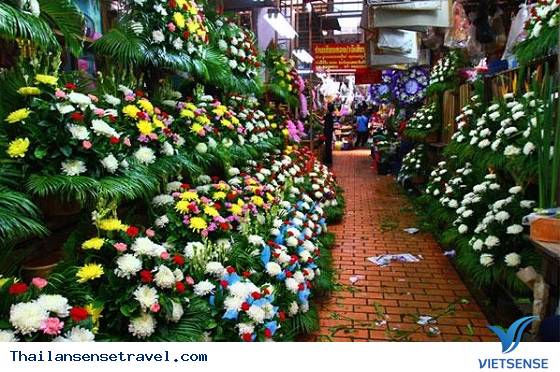 Khám phá khu chợ hoa Pak Klong Talad lớn nhất Bangkok - Ảnh 3 Khám phá khu chợ hoa Pak Klong Talad lớn nhất Bangkok - Ảnh 3