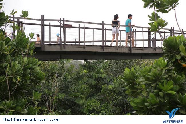 Khu vườn xanh tươi từng có “quá khứ” bất ngờ giữa lòng Bangkok - Ảnh 2 Khu vườn xanh tươi từng có “quá khứ” bất ngờ giữa lòng Bangkok - Ảnh 2