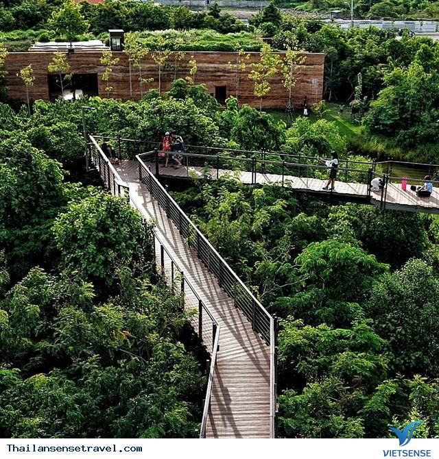 Khu vườn xanh tươi từng có “quá khứ” bất ngờ giữa lòng Bangkok - Ảnh 1 Khu vườn xanh tươi từng có “quá khứ” bất ngờ giữa lòng Bangkok - Ảnh 1