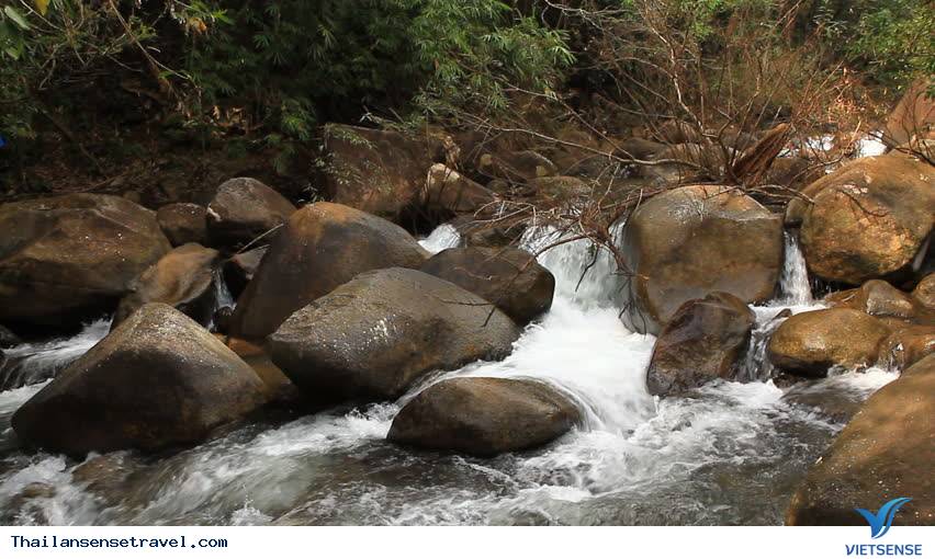 Lạc bước ở khu rừng thiền tại Thái Lan. - Ảnh 3 Lạc bước ở khu rừng thiền tại Thái Lan. - Ảnh 3