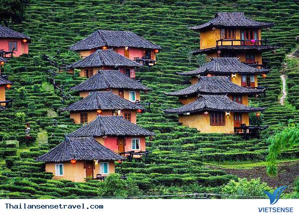 Lạc lối ở vùng đất người Hoa tại Thái Lan - Ảnh 1 Lạc lối ở vùng đất người Hoa tại Thái Lan - Ảnh 1