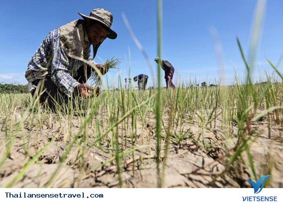 Lễ hội té nước ở Thái Lan vẫn diễn ra khi cả nước đang bị hạn hán - Ảnh 4 Lễ hội té nước ở Thái Lan vẫn diễn ra khi cả nước đang bị hạn hán - Ảnh 4