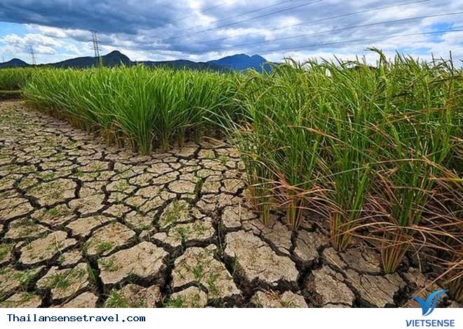 Lễ hội té nước ở Thái Lan vẫn diễn ra khi cả nước đang bị hạn hán - Ảnh 5 Lễ hội té nước ở Thái Lan vẫn diễn ra khi cả nước đang bị hạn hán - Ảnh 5