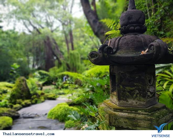 Mát dịu với thiền viện xanh ở Bangkok của Thái Lan - Ảnh 1