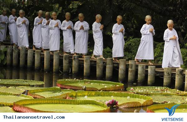 Mát dịu với thiền viện xanh ở Bangkok của Thái Lan - Ảnh 5