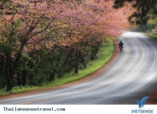 Núi rừng và công viên - Ảnh 2