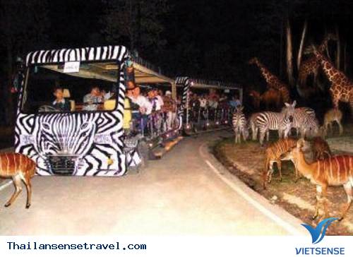 Núi rừng và công viên - Ảnh 1