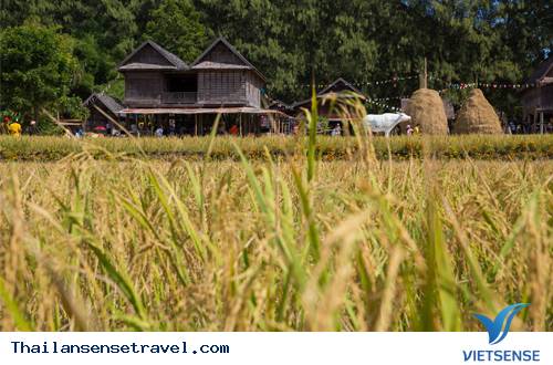 Tổng quan nông trại Jim Thompson và công viên Flora Wang Nam Khiao - Ảnh 1
