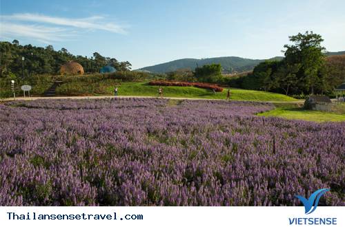 Điểm nổi bật - Ảnh 4