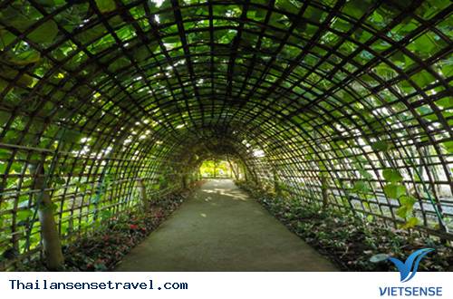 Điểm nổi bật - Ảnh 3